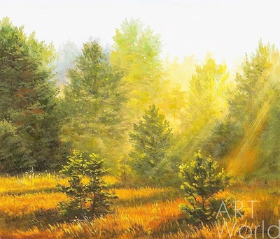 картина масло холст Летний пейзаж маслом "Солнце в лесу N2", Ромм Александр, LegacyArt Артворлд.ру
