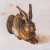 картина масло холст Копия картины Альбрехта Дюрера "Молодой заяц", художник С. Камский, Репродукции картин
