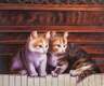 картина масло холст Картина маслом "Шли котята по роялю", Камский Савелий, LegacyArt