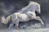 картина масло холст Картина маслом "Белый конь", Камский Савелий, LegacyArt
