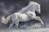картина масло холст Картина маслом "Белый конь", Родригес Хосе, LegacyArt Артворлд.ру