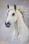 картина масло холст Картина маслом "Портрет белой лошади N2", Картины в интерьер, LegacyArt Артворлд.ру