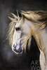 картина масло холст Картина маслом "Портрет коня с золотой гривой", Камский Савелий, LegacyArt