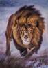 картина масло холст Картина маслом "Портрет льва. Царствуя и защищая", Камский Савелий, LegacyArt