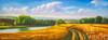 картина масло холст Пейзаж маслом "Нива золотая, небо голубое…N2", Картины в интерьер, LegacyArt Артворлд.ру