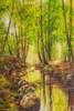 картина масло холст Пейзаж маслом "Лесной ручей", Шарабарин Андрей, LegacyArt