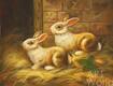 картина масло холст Прованские кролики, Потапова Мария