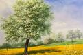 картина масло холст Пейзаж маслом "Яблоневый цвет, весенний цвет", Ромм Александр, LegacyArt