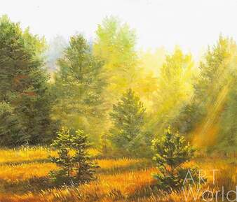 Летний пейзаж маслом "Солнце в лесу N2" Артворлд.ру