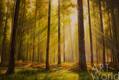 картина масло холст Летний пейзаж маслом "Солнце в лесу", Ромм Александр, LegacyArt