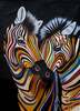 картина масло холст Картина маслом "Разноцветные зебры N4", Виверс Кристина, LegacyArt