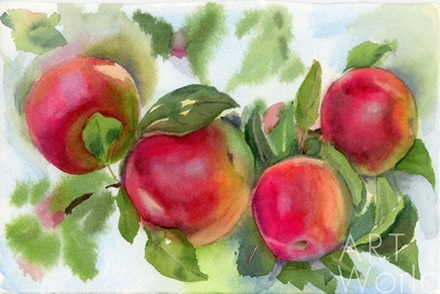 картина масло холст Иллюстрация "Яблоки на ветке", Полунина Елена Артворлд.ру