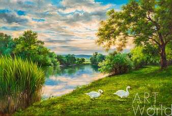 Пейзаж маслом "Лебеди на берегу реки" Артворлд.ру