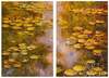 картина масло холст "Водяные лилии", N32, копия С. Камского картины Клода Моне. Диптих, Моне Клод