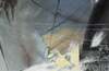 картина масло холст Абстракция маслом "Рождение сверхновой", Дюпре Брайн, LegacyArt