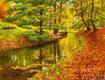 картина масло холст Картина маслом "Осенью у ручья", Камский Савелий, LegacyArt