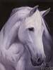картина масло холст Картина маслом "Портрет белой лошади", Камский Савелий, LegacyArt