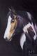картина масло холст Картина маслом "Портрет гнедого коня", Камский Савелий, LegacyArt