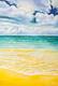 картина масло холст Морской пейзаж маслом "В изумрудном море N3", Лагно Дарья, LegacyArt