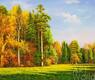 картина масло холст Картина маслом "Осенний лес в лучах солнца", Ромм Александр, LegacyArt