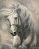 картина масло холст Картина по эскизу заказчика "Белый конь", Камский Савелий, LegacyArt