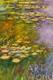 картина масло холст "Водяные лилии N36", копия С Камского картины Клода Моне, Камский Савелий, LegacyArt
