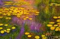картина масло холст "Водяные лилии", N 38, копия С. Камского картины Клода Моне, Камский Савелий, LegacyArt